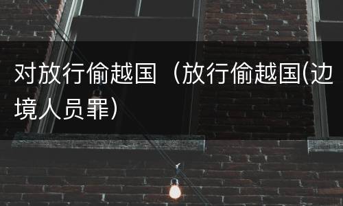 对放行偷越国（放行偷越国(边境人员罪）