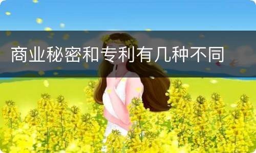商业秘密和专利有几种不同