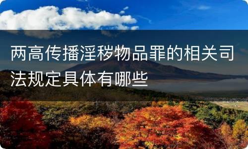 两高传播淫秽物品罪的相关司法规定具体有哪些