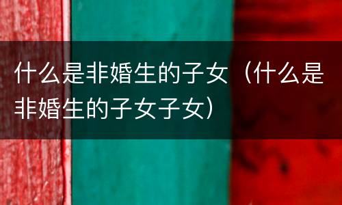 什么是非婚生的子女（什么是非婚生的子女子女）
