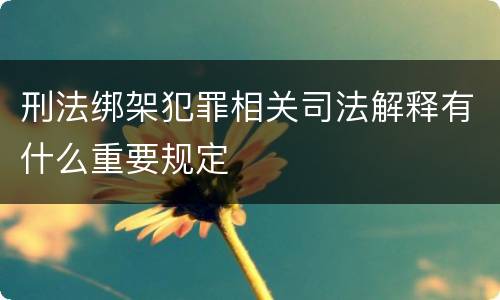 刑法绑架犯罪相关司法解释有什么重要规定