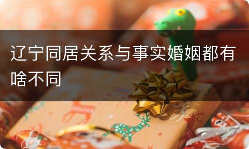 辽宁同居关系与事实婚姻都有啥不同