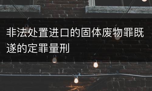 非法处置进口的固体废物罪既遂的定罪量刑