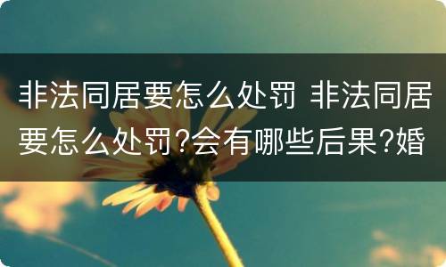 非法同居要怎么处罚 非法同居要怎么处罚?会有哪些后果?婚姻法这么规定