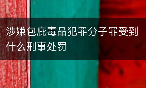 涉嫌包庇毒品犯罪分子罪受到什么刑事处罚
