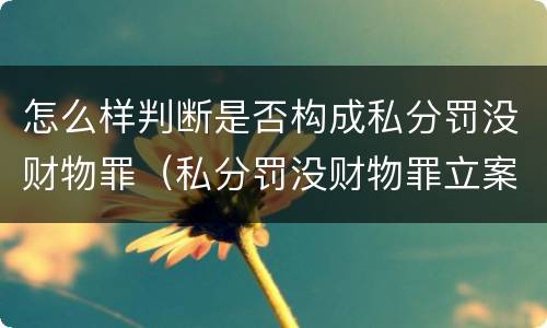 怎么样判断是否构成私分罚没财物罪（私分罚没财物罪立案标准）