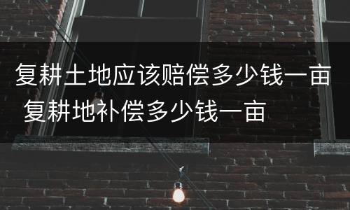 复耕土地应该赔偿多少钱一亩 复耕地补偿多少钱一亩