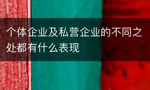 个体企业及私营企业的不同之处都有什么表现