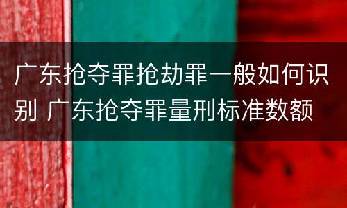 广东抢夺罪抢劫罪一般如何识别 广东抢夺罪量刑标准数额