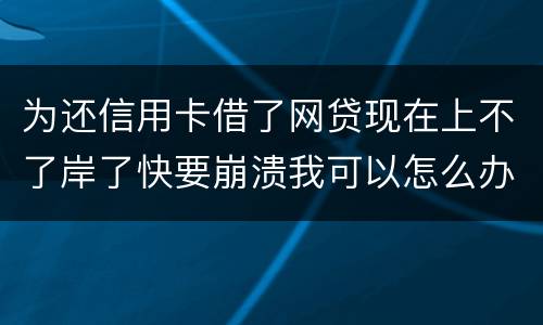 为还信用卡借了网贷现在上不了岸了快要崩溃我可以怎么办