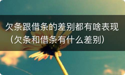 欠条跟借条的差别都有啥表现（欠条和借条有什么差别）