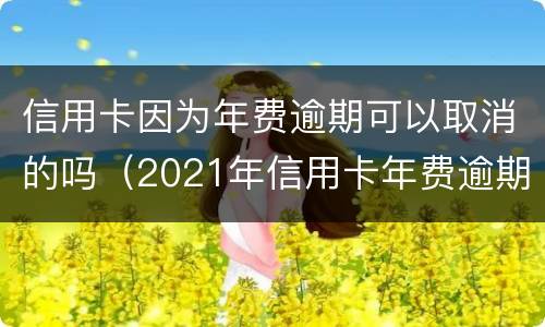 信用卡因为年费逾期可以取消的吗（2021年信用卡年费逾期新政策）