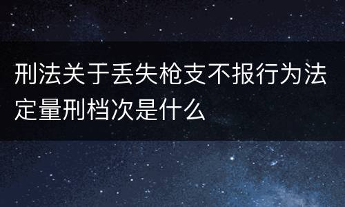 刑法关于丢失枪支不报行为法定量刑档次是什么
