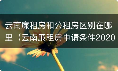 云南廉租房和公租房区别在哪里（云南廉租房申请条件2020）