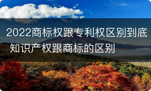 2022商标权跟专利权区别到底 知识产权跟商标的区别