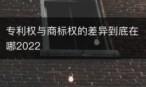 专利权与商标权的差异到底在哪2022