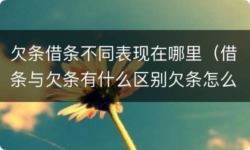 欠条借条不同表现在哪里（借条与欠条有什么区别欠条怎么写）