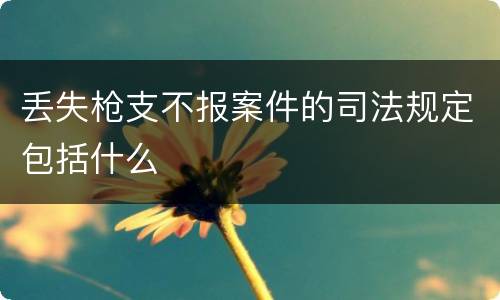 丢失枪支不报案件的司法规定包括什么