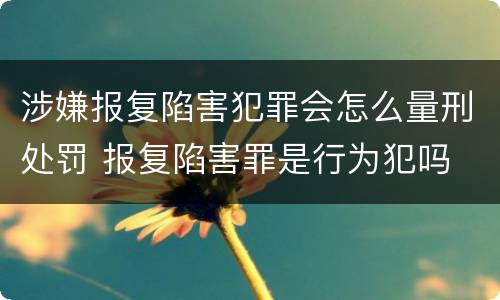 涉嫌报复陷害犯罪会怎么量刑处罚 报复陷害罪是行为犯吗