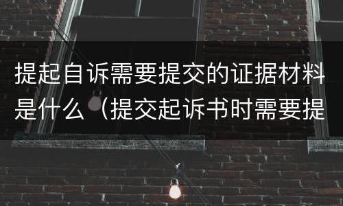 提起自诉需要提交的证据材料是什么（提交起诉书时需要提供证据吗?）