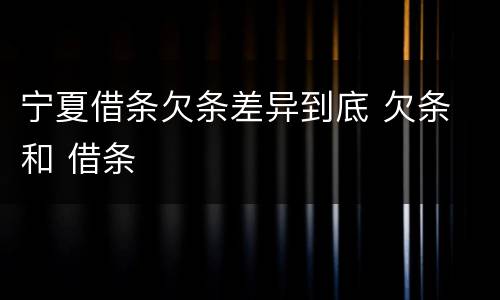 宁夏借条欠条差异到底 欠条 和 借条