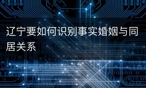辽宁要如何识别事实婚姻与同居关系