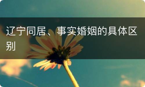 辽宁同居、事实婚姻的具体区别