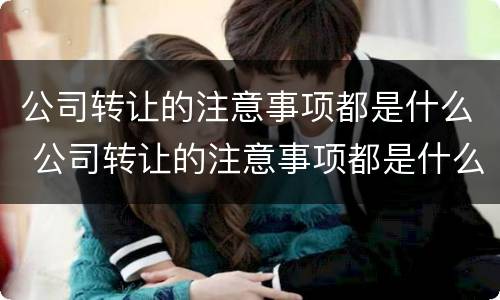 公司转让的注意事项都是什么 公司转让的注意事项都是什么呢