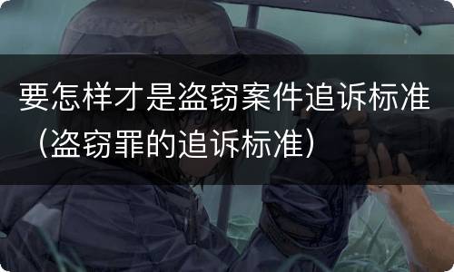 要怎样才是盗窃案件追诉标准（盗窃罪的追诉标准）