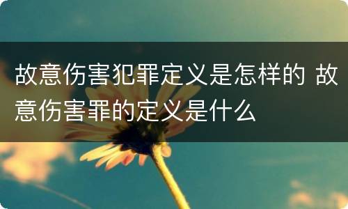 故意伤害犯罪定义是怎样的 故意伤害罪的定义是什么