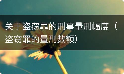 关于盗窃罪的刑事量刑幅度（盗窃罪的量刑数额）