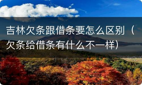 吉林欠条跟借条要怎么区别（欠条给借条有什么不一样）