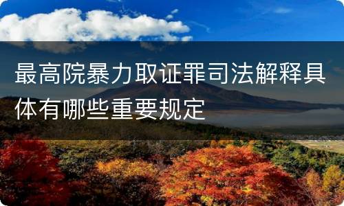 最高院暴力取证罪司法解释具体有哪些重要规定