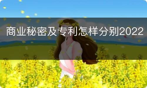 商业秘密及专利怎样分别2022