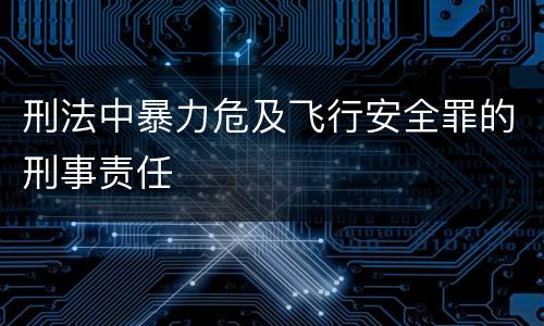 刑法中暴力危及飞行安全罪的刑事责任