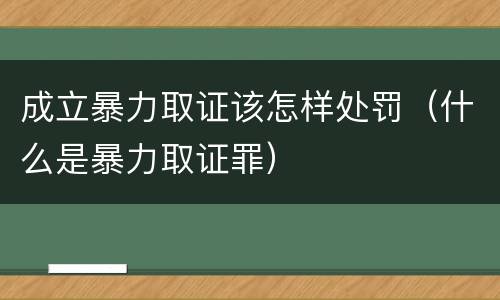 成立暴力取证该怎样处罚（什么是暴力取证罪）