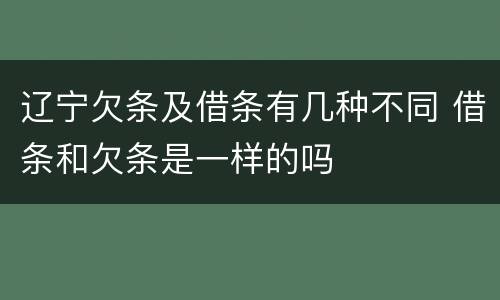 辽宁欠条及借条有几种不同 借条和欠条是一样的吗