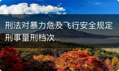 刑法对暴力危及飞行安全规定刑事量刑档次