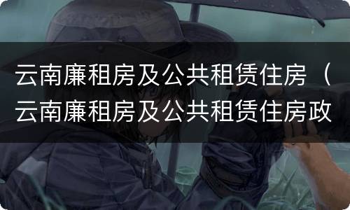 云南廉租房及公共租赁住房（云南廉租房及公共租赁住房政策）