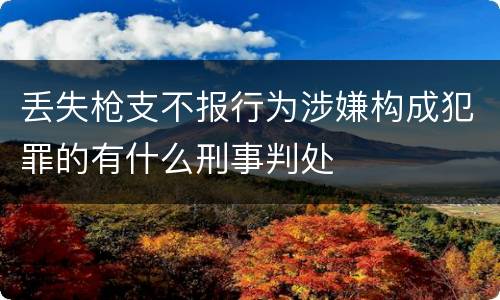 丢失枪支不报行为涉嫌构成犯罪的有什么刑事判处