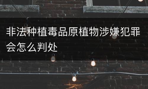 非法种植毒品原植物涉嫌犯罪会怎么判处