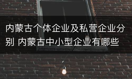 内蒙古个体企业及私营企业分别 内蒙古中小型企业有哪些