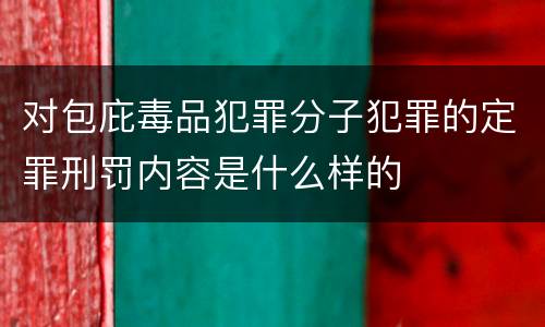 对包庇毒品犯罪分子犯罪的定罪刑罚内容是什么样的