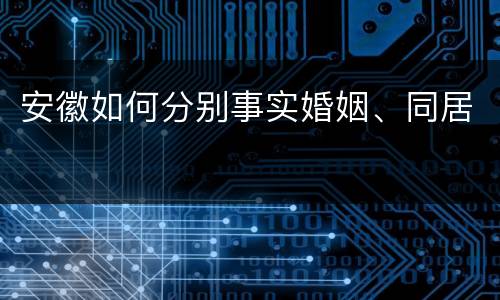 安徽如何分别事实婚姻、同居