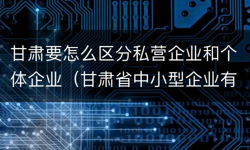 甘肃要怎么区分私营企业和个体企业（甘肃省中小型企业有多少）