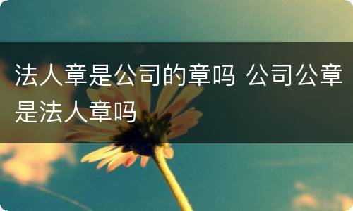 法人章是公司的章吗 公司公章是法人章吗