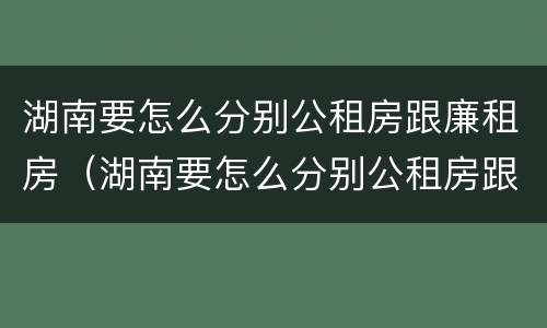 湖南要怎么分别公租房跟廉租房（湖南要怎么分别公租房跟廉租房呢）