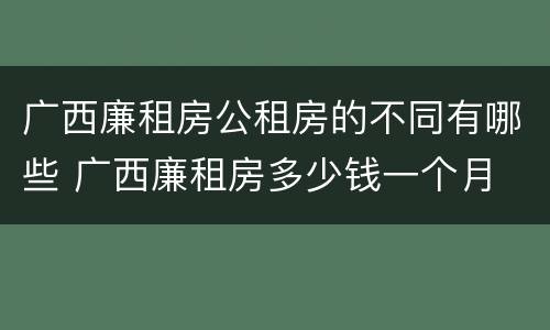 广西廉租房公租房的不同有哪些 广西廉租房多少钱一个月