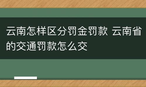 云南怎样区分罚金罚款 云南省的交通罚款怎么交