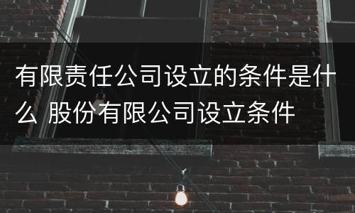 有限责任公司设立的条件是什么 股份有限公司设立条件